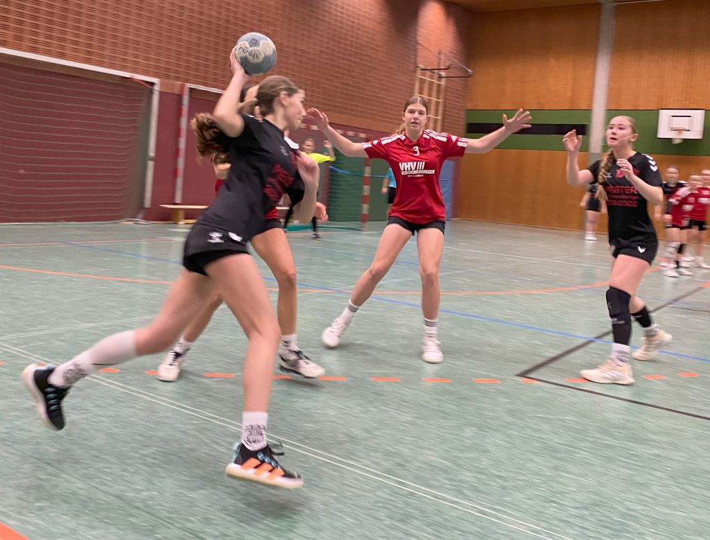 Weibliche B I: HSG Wennigsen/Gehrden Vs HSG Verden-Aller – HSG ...